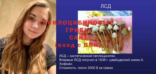 mix Гусиноозёрск