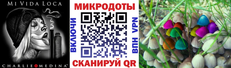 Псилоцибиновые грибы ЛСД  Купить закладки  Старый Оскол 